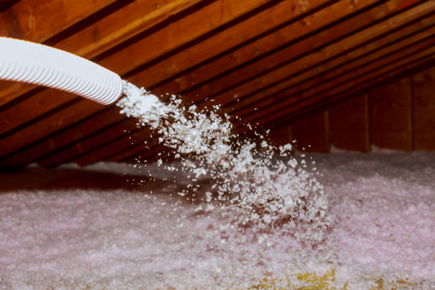 Best Residential Insulation Services  in Walnut Grove, GA