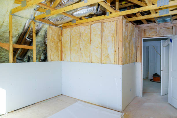 Best Insulation Inspection Services  in Walnut Grove, GA
