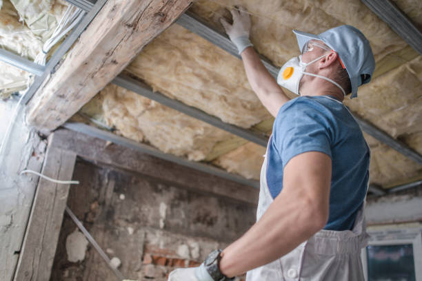 Best Commercial Insulation Contractor  in Walnut Grove, GA