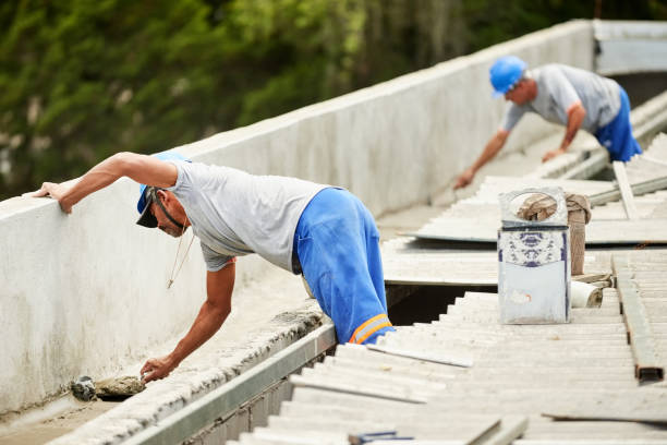 Best Professional Insulation Contractor  in Walnut Grove, GA