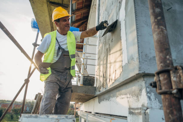 Best Best Insulation Companies  in Walnut Grove, GA
