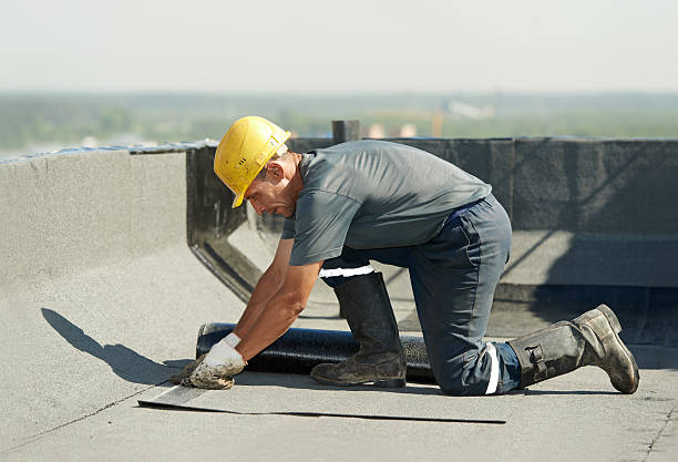 Best Attic Insulation Installation  in Walnut Grove, GA