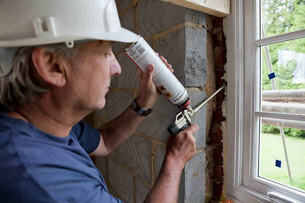 Best Crawl Space Insulation  in Walnut Grove, GA