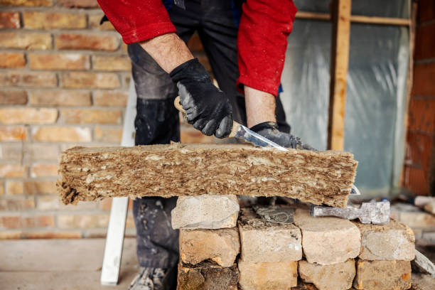 Best Insulation Contractors for Homes  in Walnut Grove, GA
