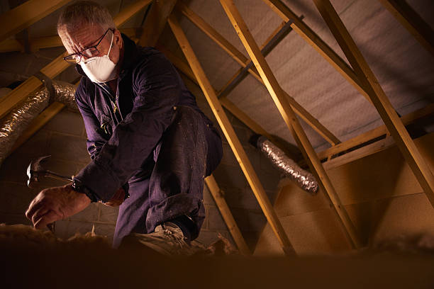 Best Insulation Installation Cost  in Walnut Grove, GA